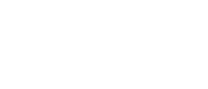 FinGurus